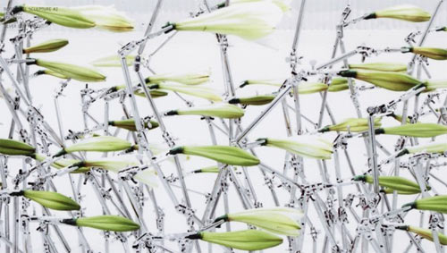 Azuma Makoto art contemporain plantes