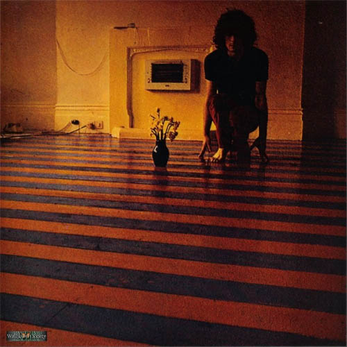 cee gee syd barrett cover graphic motion design hipgnosis storm thorgerson music art photographie inspiration tendances