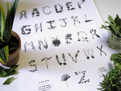 Sasha Prood, inspiration typographie originale, dessin et typographie végétale